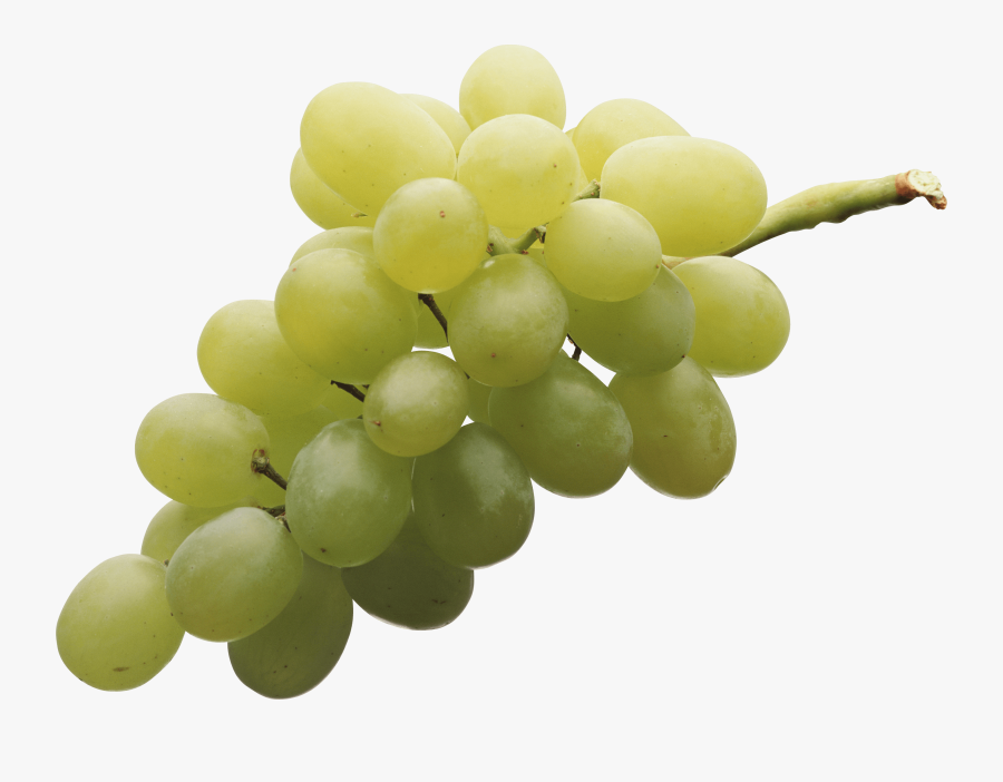 Download Grape Free Png Photo Images And Clipart - Grapes Png, Transparent Clipart