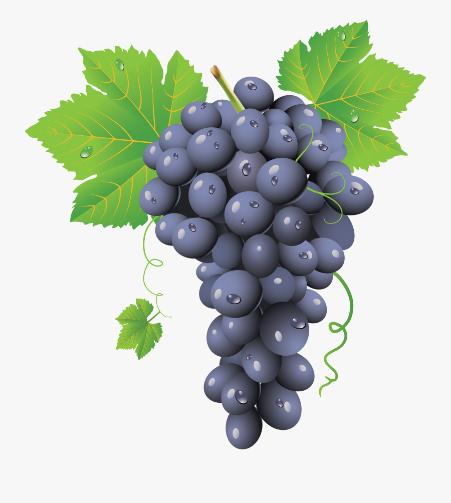 Grapes Clipart, Transparent Clipart