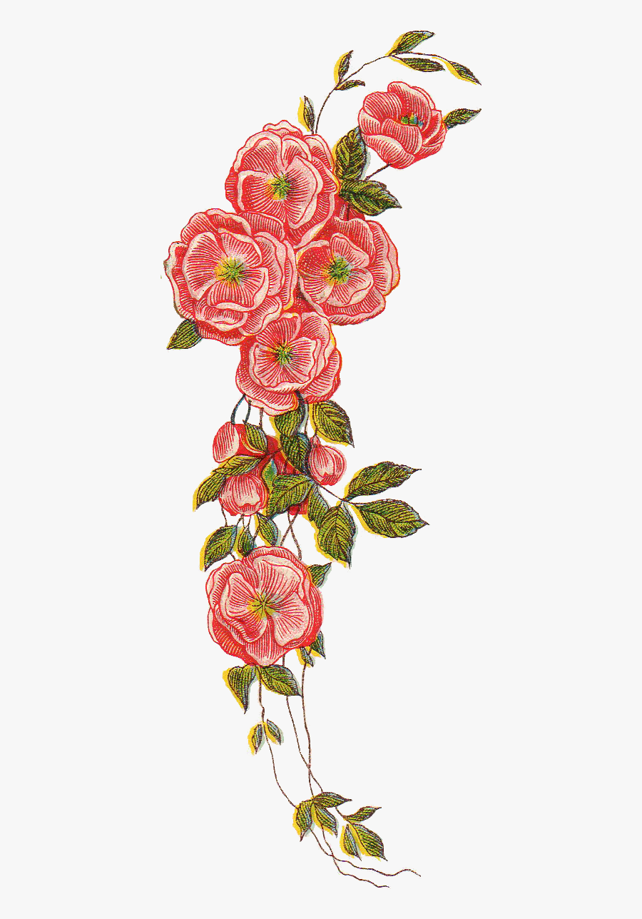 Vintage Mail Clipart - Vintage Flower Drawing Png, Transparent Clipart