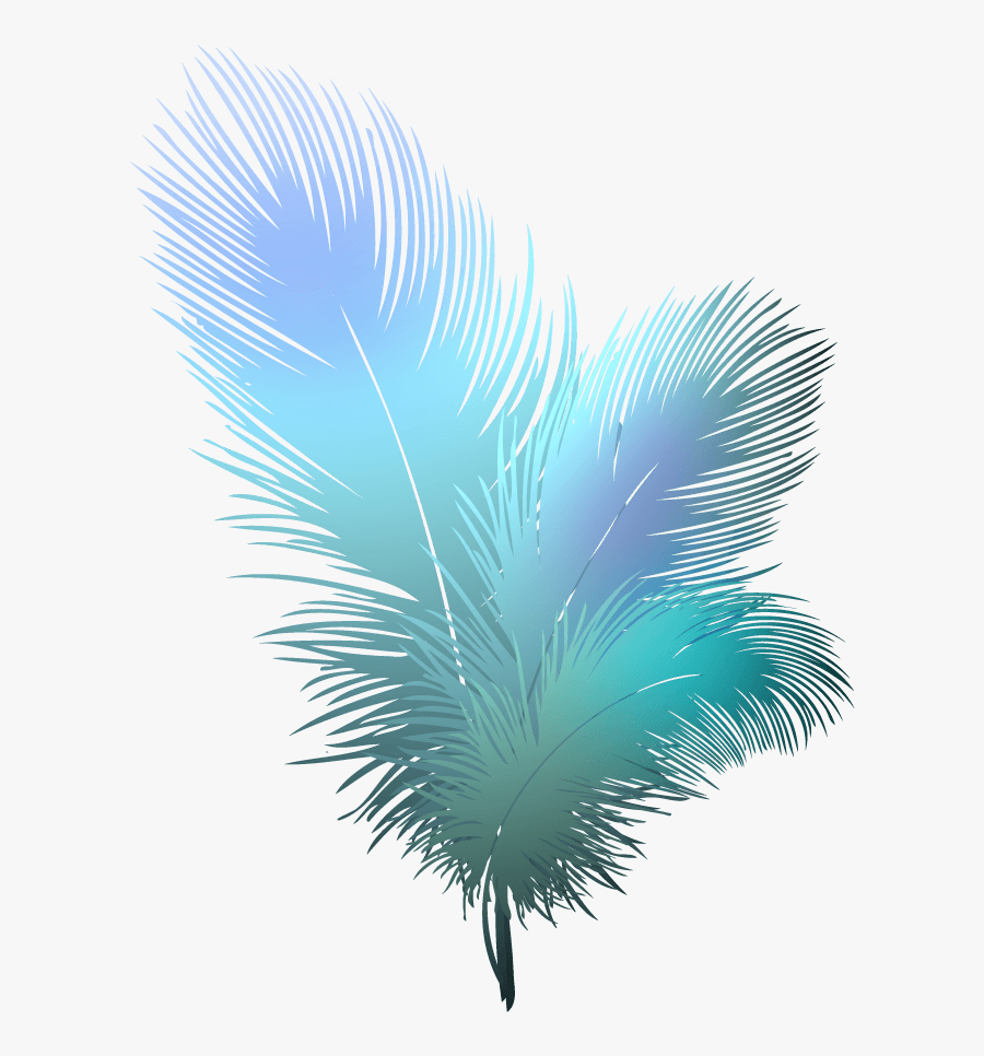 Image - Transparent Background Feather Png, Transparent Clipart