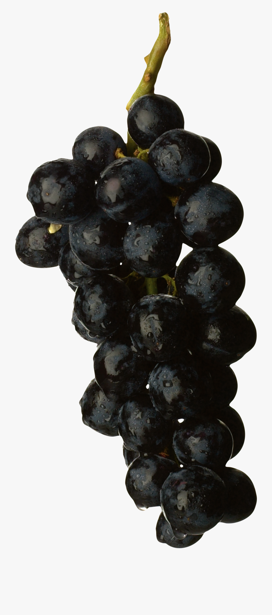 Grapes Clipart Black - Black Grape Png, Transparent Clipart