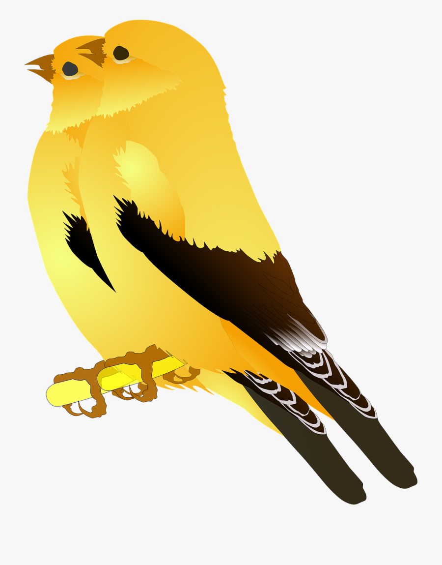 Musical Birds Cliparts 29, Buy Clip Art - Birds Of A Feather Clipart, Transparent Clipart