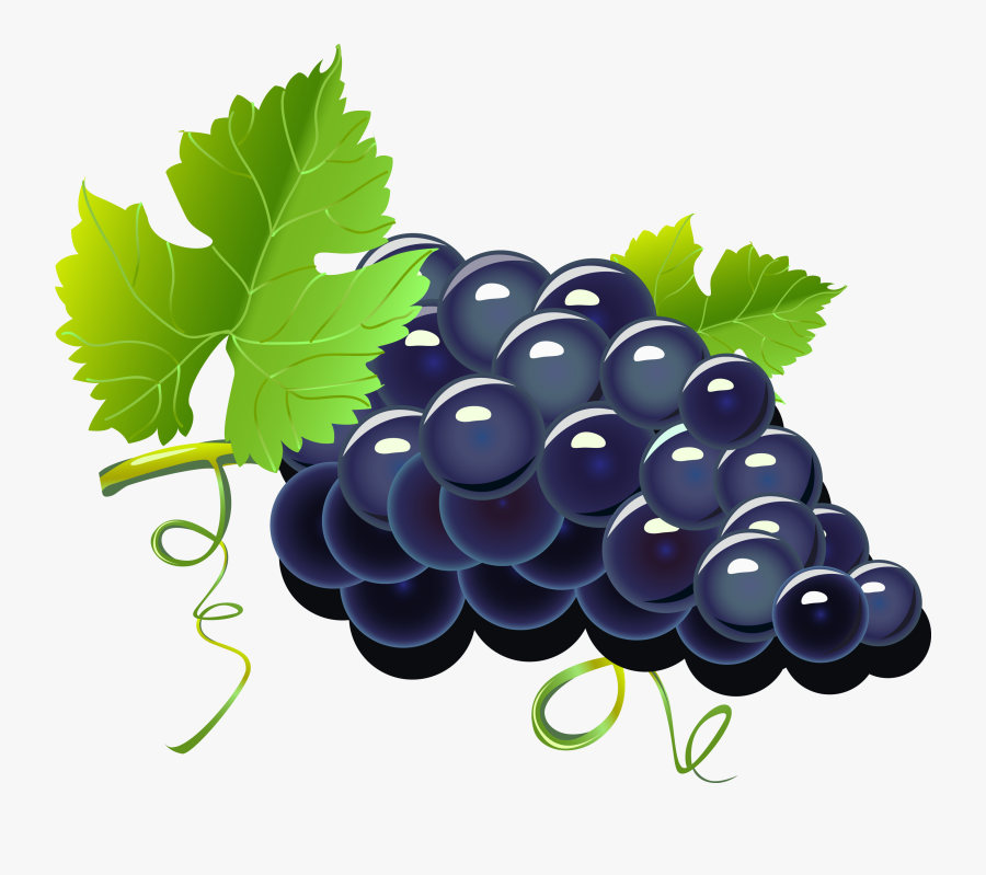 Grapes Clipart, Transparent Clipart