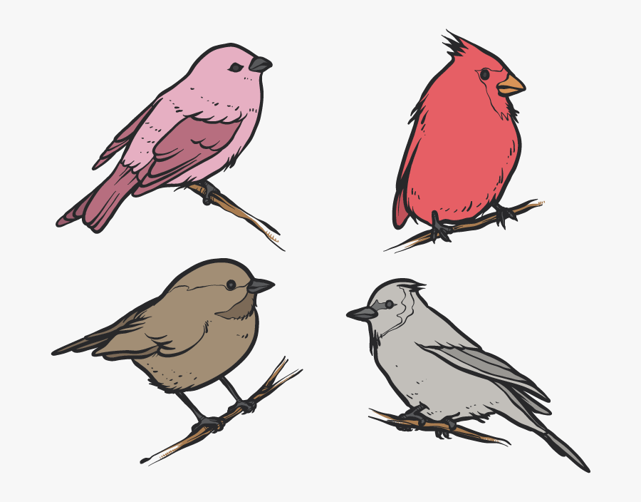 Drawing Feather Sparrow Transparent Png Clipart Free - Old World Flycatcher, Transparent Clipart