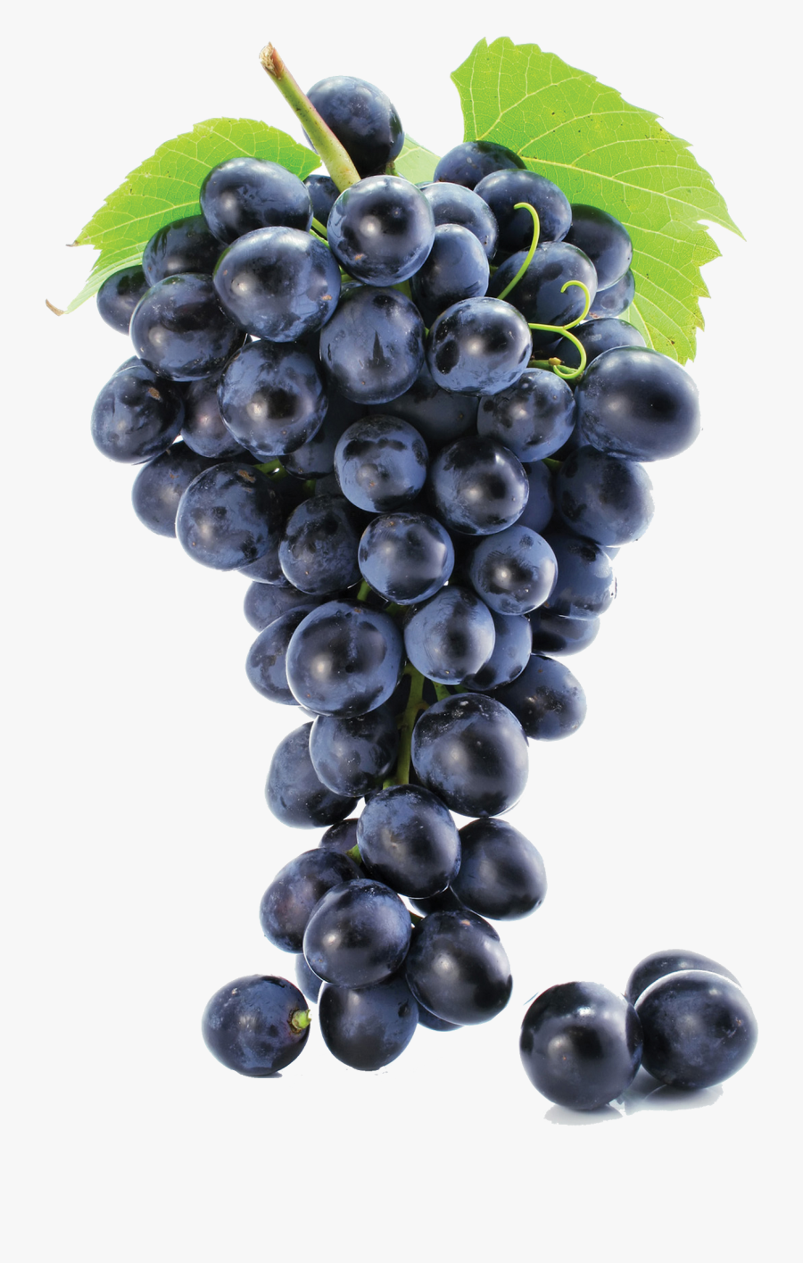 Grapes Clipart Natural Thing - Grape Png, Transparent Clipart