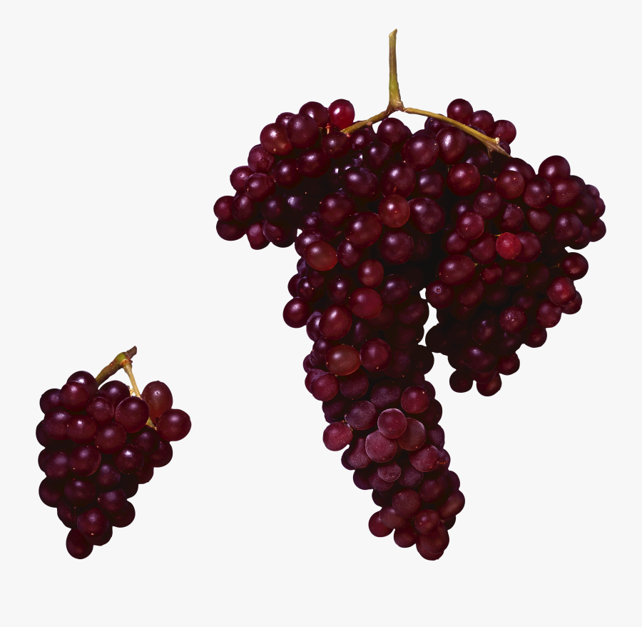 Grapes Clipart Red Grape - Red Grape Vine Png, Transparent Clipart