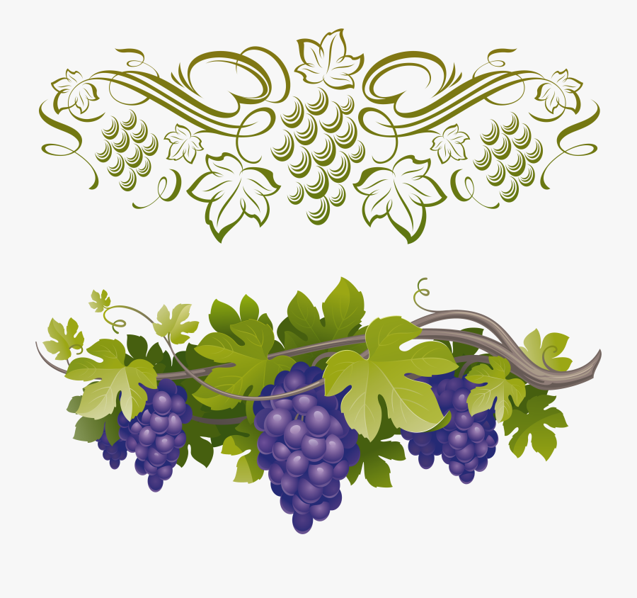 Transparent Green Grapes Clipart - Border Grapes Clipart Png, Transparent Clipart