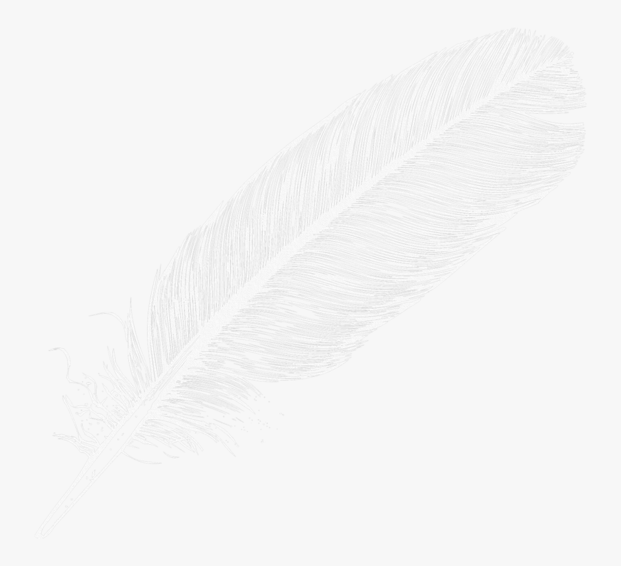 Feather - Transparent Background White Feather Clipart, Transparent Clipart