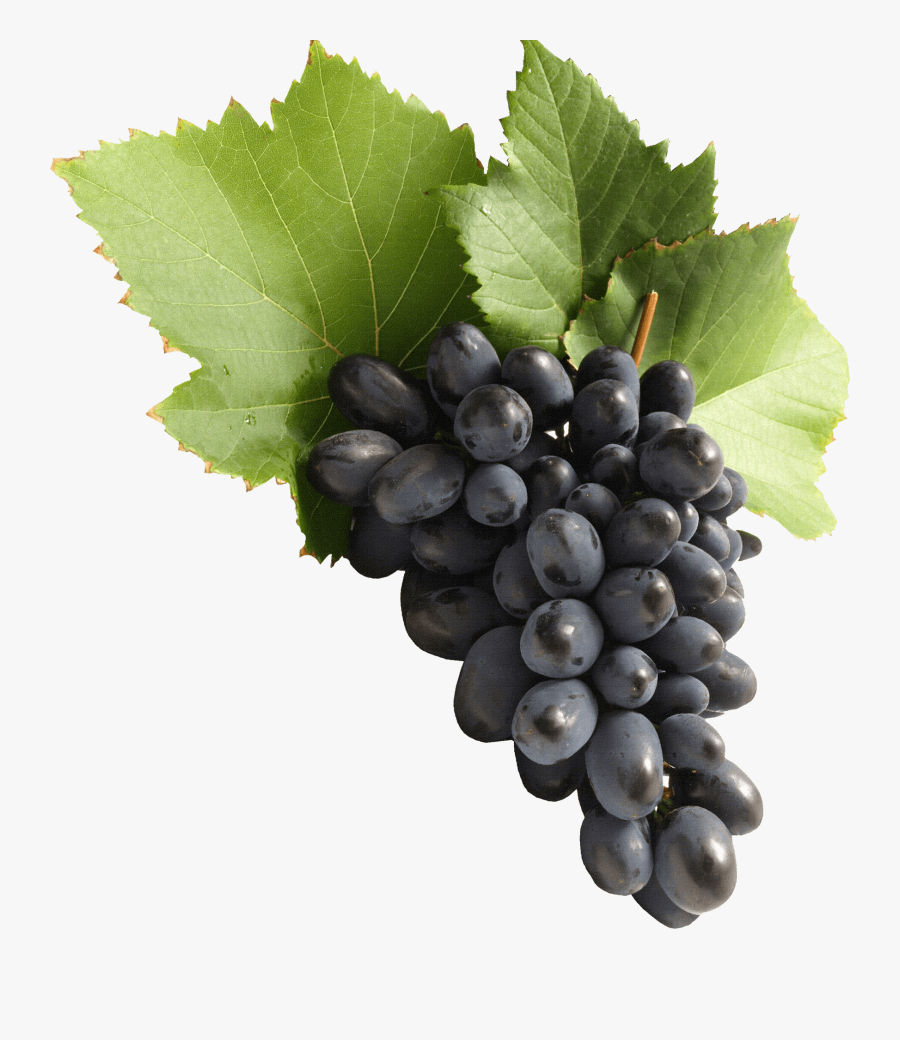 Grape Png - Grapes Png, Transparent Clipart