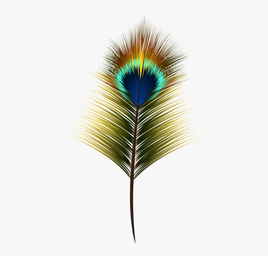 Transparent Peacock Wing Png - Peacock High Resolution Feather Png, Transparent Clipart