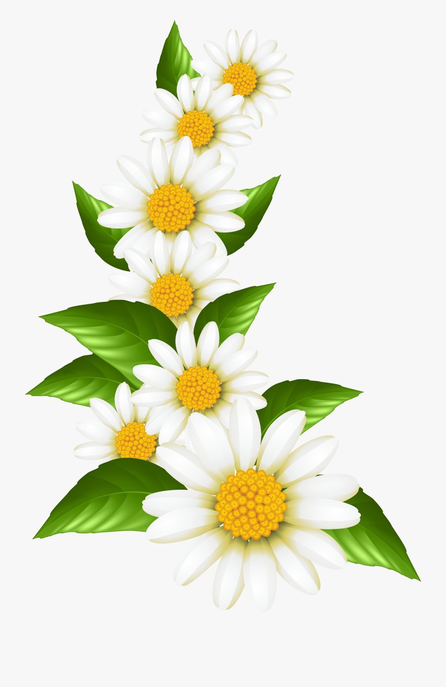 Confetti Clipart, Confetti Borders, Digital Confetti, - Flower Clipart Transparent Free, Transparent Clipart