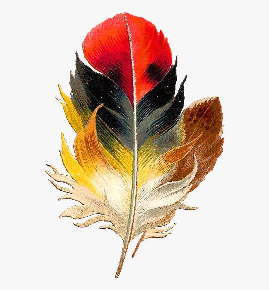 Sky Feather - Vintage Feather Illustration, Transparent Clipart