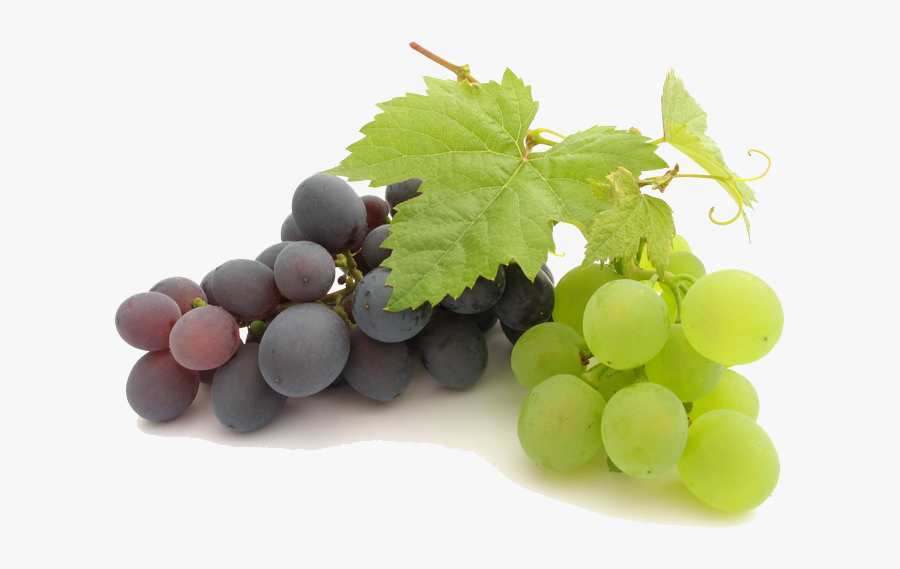 Grapes Clipart Png Transparent, Transparent Clipart