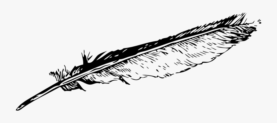 About Us Calligraphers Calligraphy If It Can Ⓒ - Feather Clip Art, Transparent Clipart