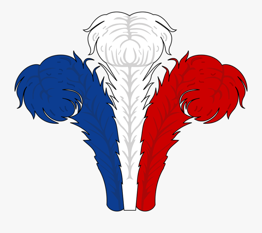 Blue White Red Feathers, Transparent Clipart