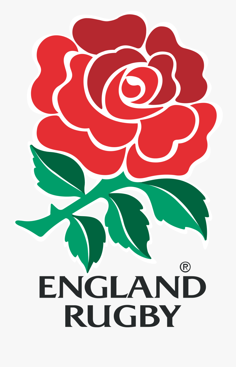 Football Field Ruler Clipart - England Rugby Team Logo, Transparent Clipart