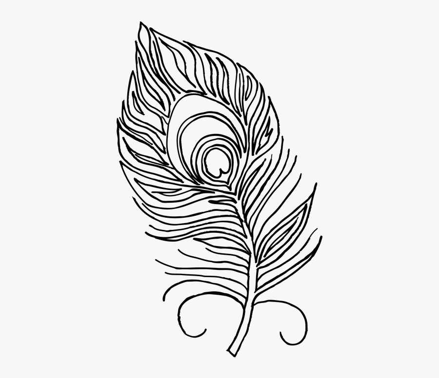 Clip Art Free Image On Pixabay - Peacock Feather For Colouring, Transparent Clipart
