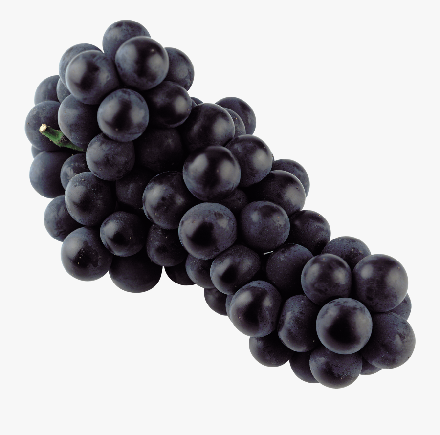 Grapes Clipart Blue Grape - Black Grapes Png, Transparent Clipart