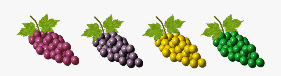 Grappolo Uva Png, Transparent Clipart