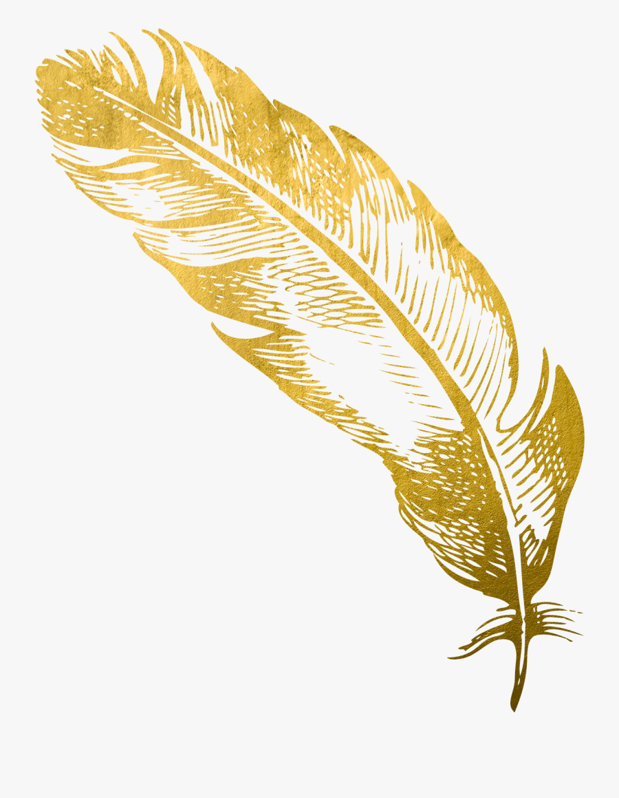 Gold Feather Png, Transparent Clipart