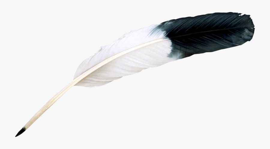 Feather - Перо Png, Transparent Clipart
