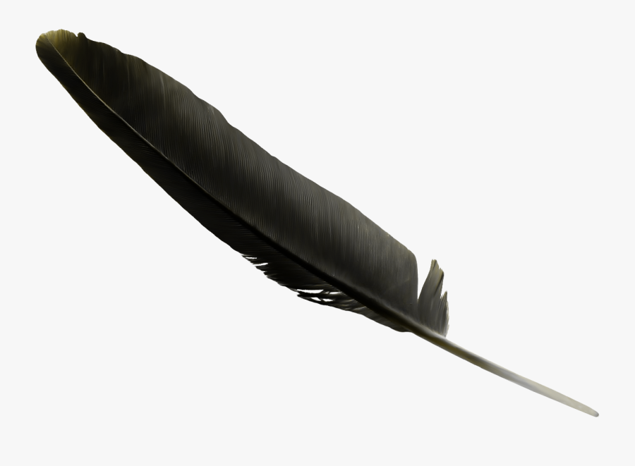 Black Feather Clip Art - Black Feather Transparent Background, Transparent Clipart