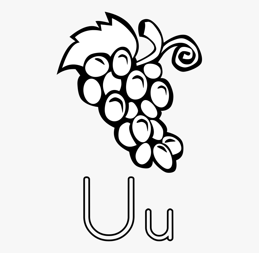 Common Grape Vine Wine Grape Leaves Grappa - Clip Art Black And White Grapes, Transparent Clipart
