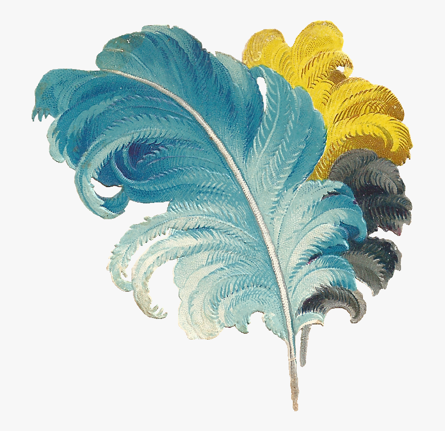 Download Vintage Feather Clipart - Feather Png, Transparent Clipart