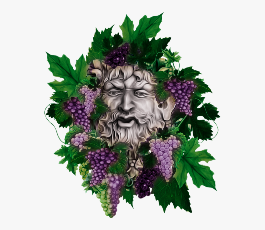 Tube Fruit, Raisin Png, Vigne, Vendanges - Illustration, Transparent Clipart