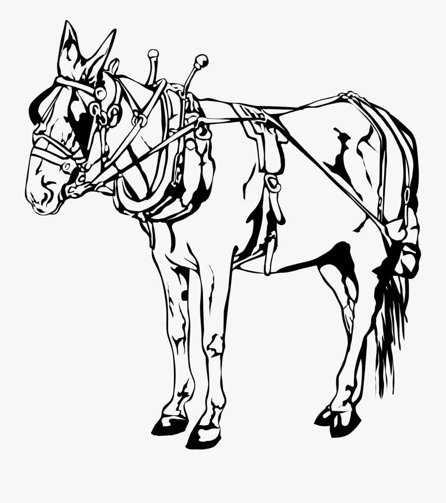 New Orleans Carriage Horse Vector Clip Art - Mare, Transparent Clipart