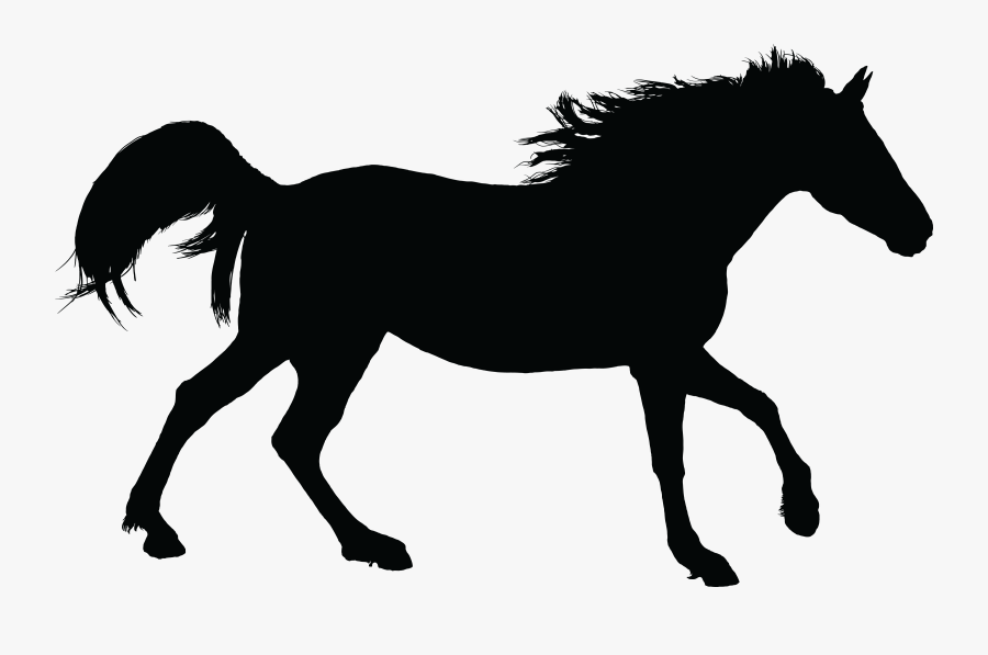 Arabian Horse American Paint Horse Silhouette Stallion - Transparent Horse Silhouette, Transparent Clipart