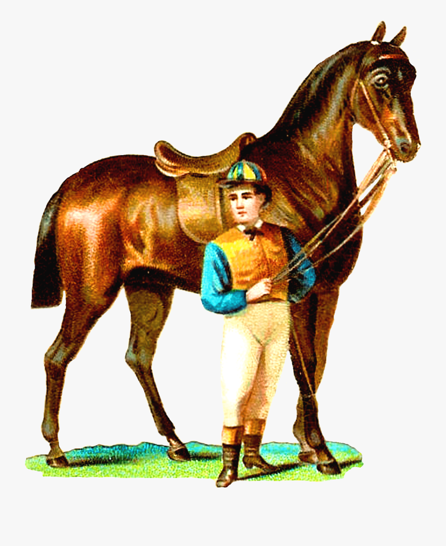 Race Horse And Jockey Vintage Clipart - Vintage Horse Png, Transparent Clipart