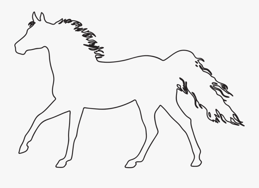 Konik Drawing Arabian Horse Standing Horse Clip Art - Para Calcar De Caballos, Transparent Clipart