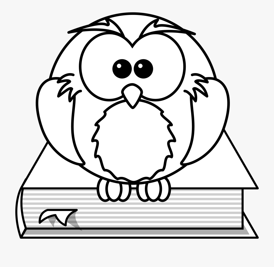 Net » Clip Art » Lemmling Cartoon Owl Sitting On A - High Resolution Coloring Book, Transparent Clipart