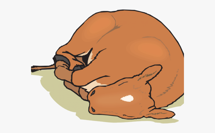 Baby Calf Sleeping Png Animated, Transparent Clipart