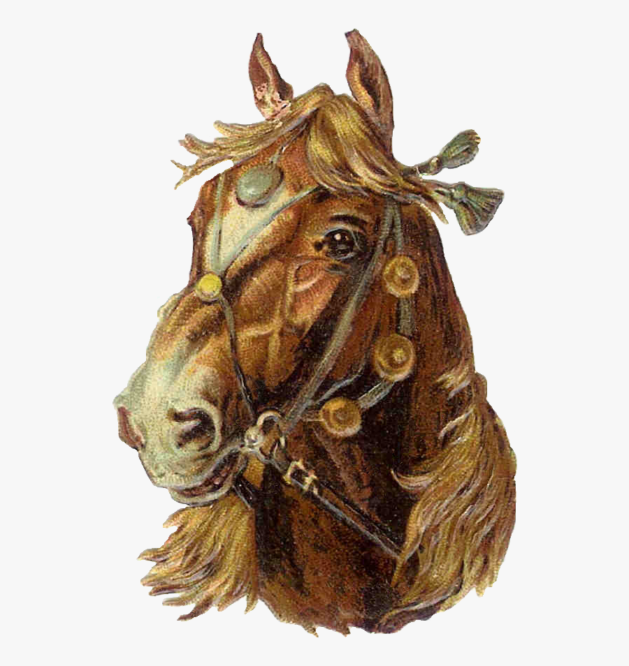 Horse Clip Art, Transparent Clipart