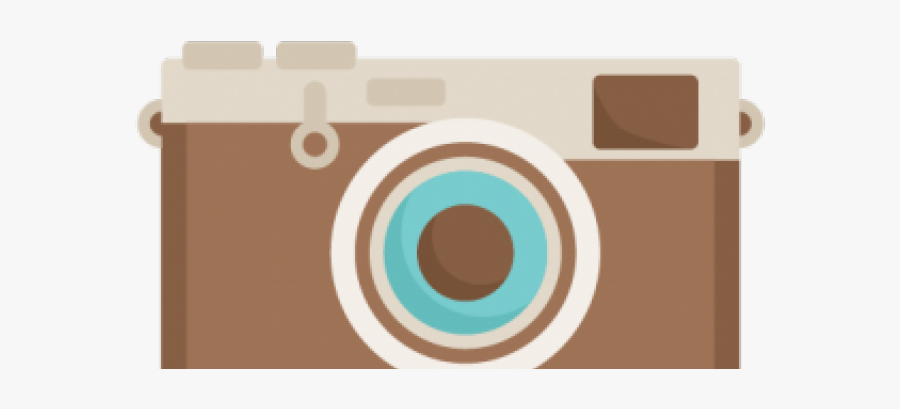 Circle, Transparent Clipart