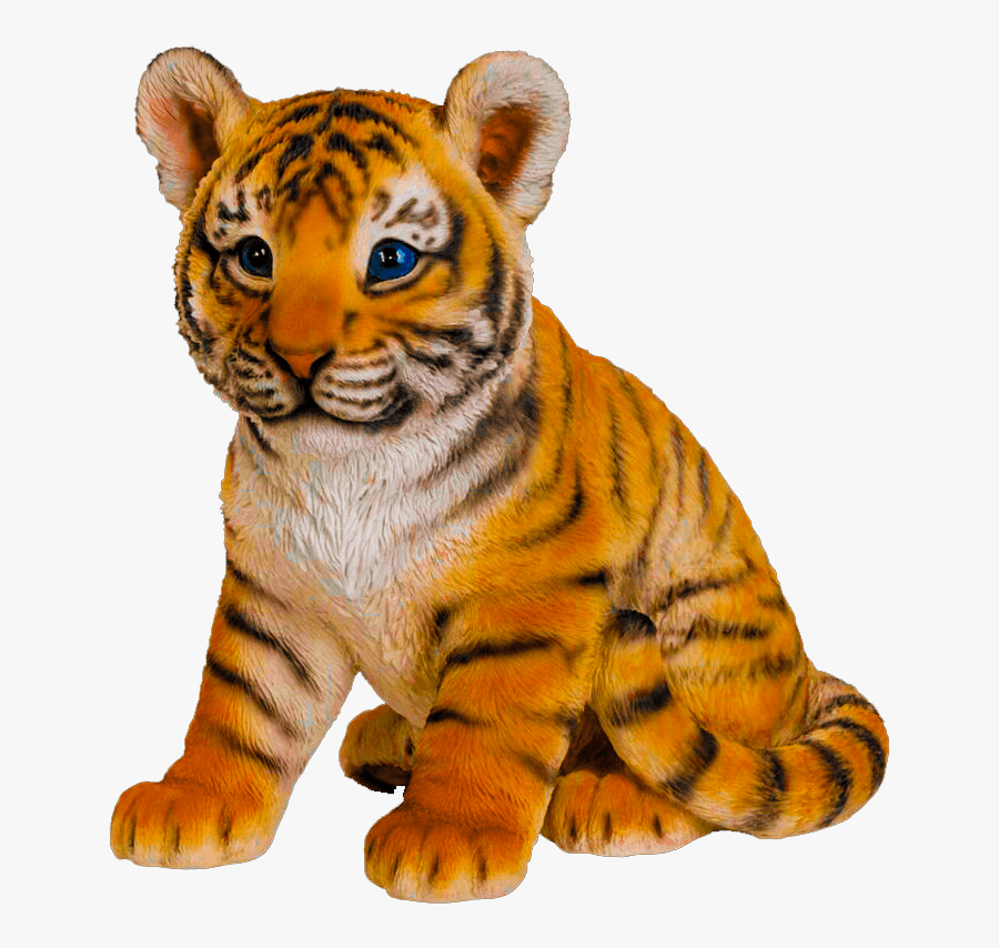 Tiger Baby, Transparent Clipart