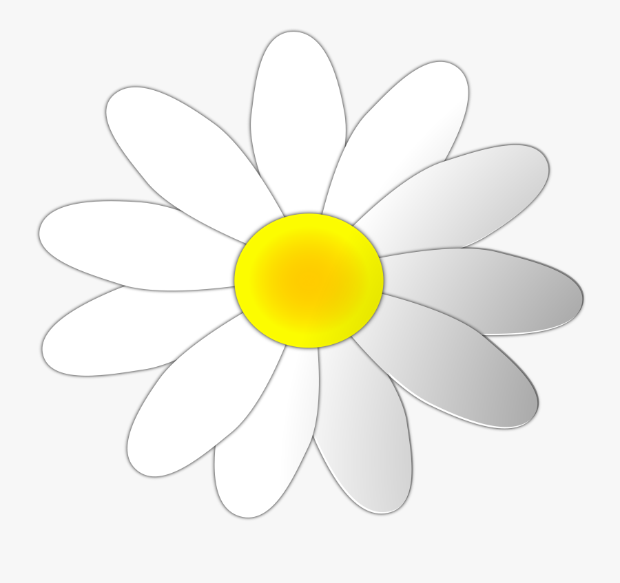 Daisy Flower Clip Art � Clipart Free Download - Harold And Maude Art, Transparent Clipart