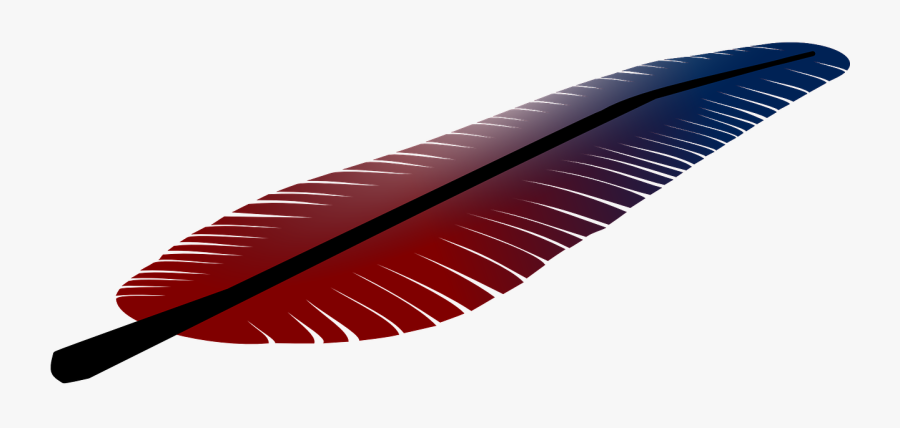 Feather, Quill, Bird, Fountain Pen, Keel - Feather Clip Art, Transparent Clipart