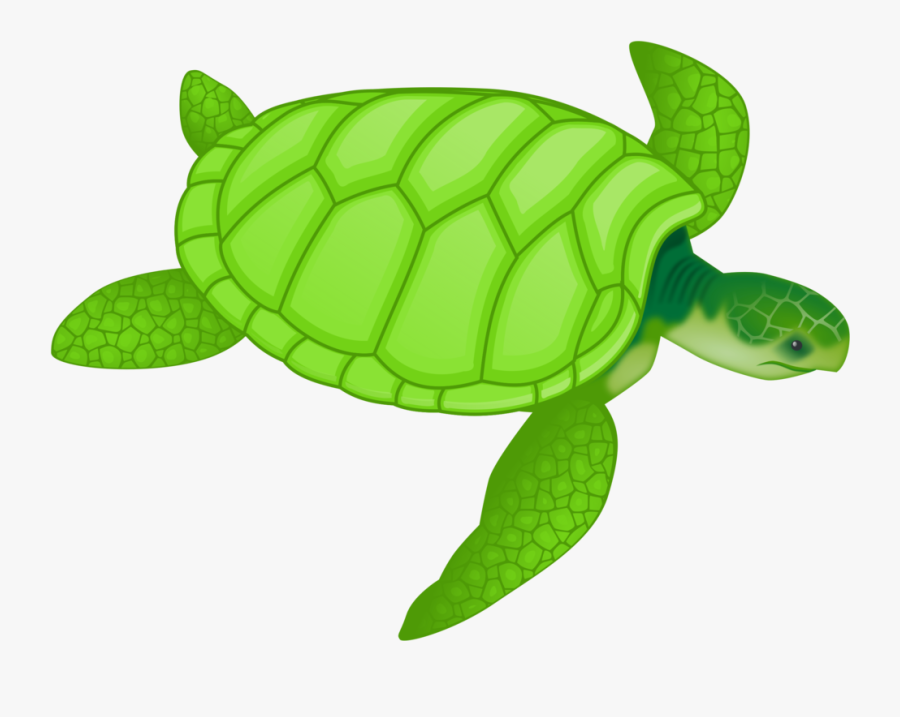 Onlinelabels Clip Art - Green Sea Turtle Clipart, Transparent Clipart