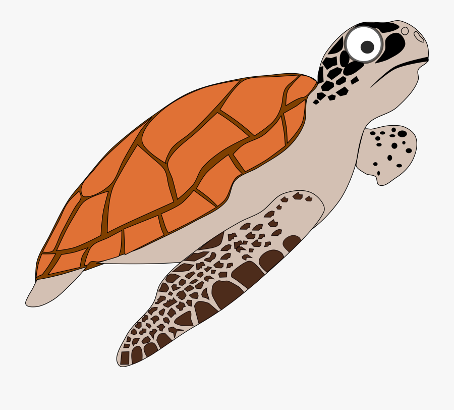 Turtle,reptile,sea Turtle - Loggerhead Sea Turtle Clipart, Transparent Clipart