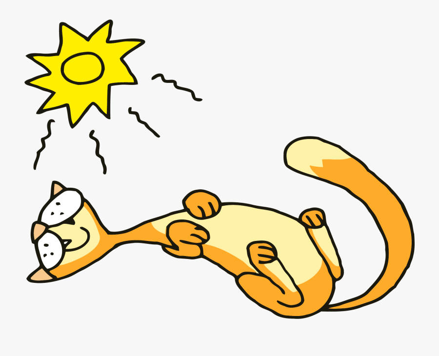 Cat Sleeping Png Clipart - Cat In Sun Clipart, Transparent Clipart