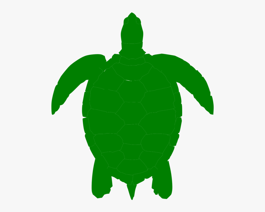 Cartoon Sea Turtle Shell, Transparent Clipart