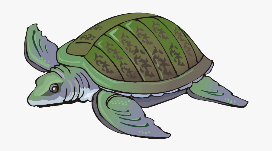Water Turtle Clipart, Transparent Clipart