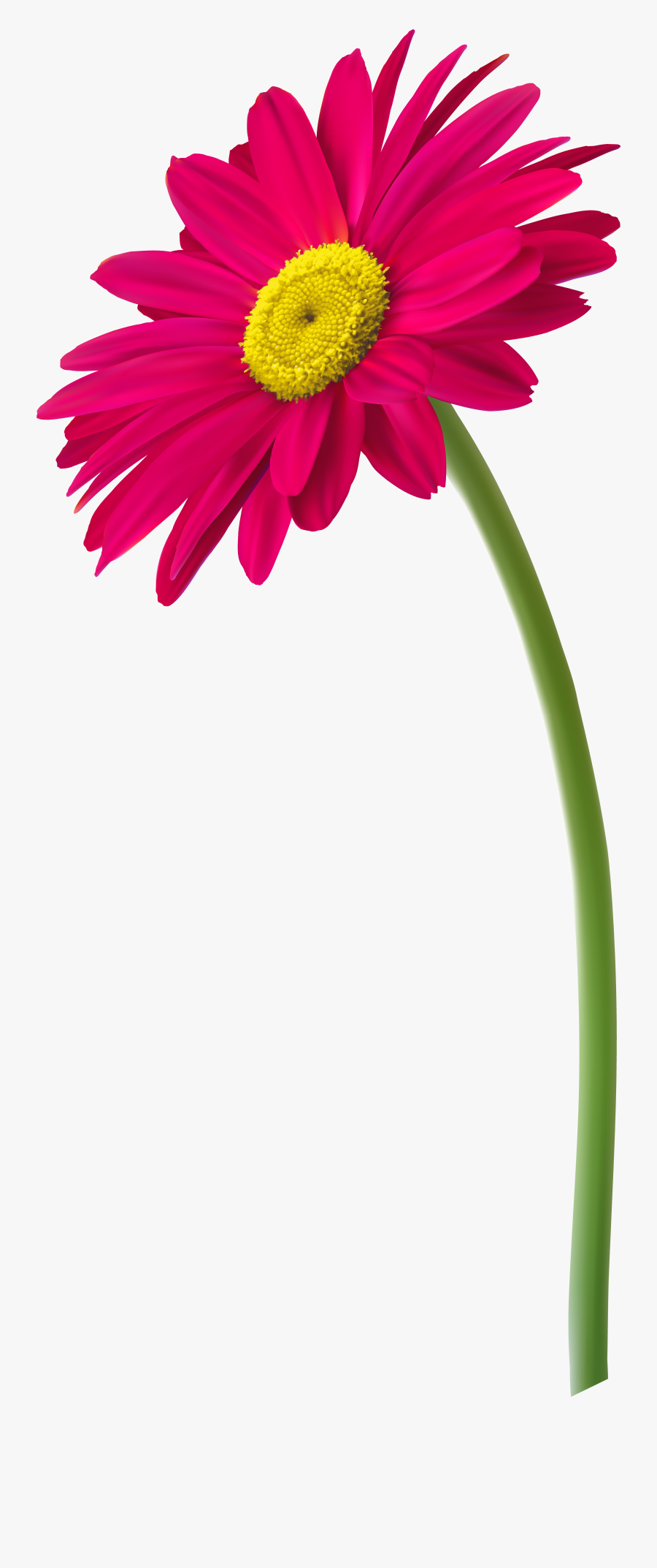 Daisy Clipart Printable - Flower With Pot Png, Transparent Clipart