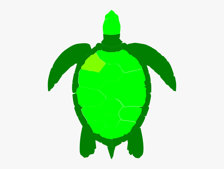 Cartoon Sea Turtle Shell, Transparent Clipart
