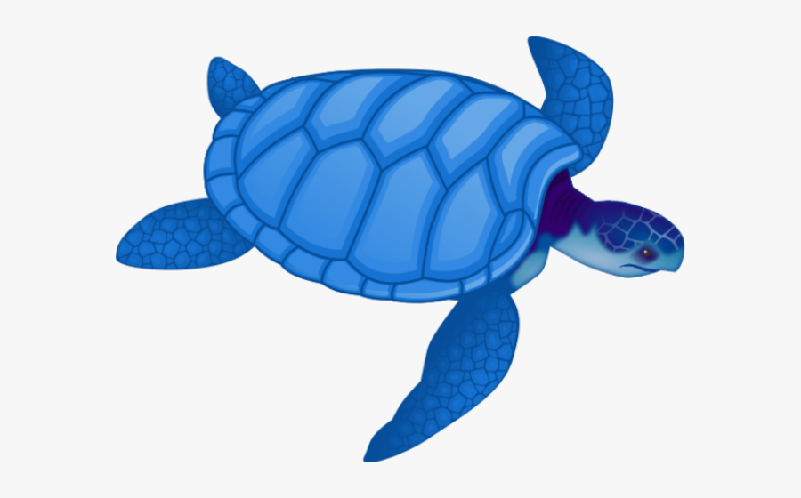 Sea Turtle Clipart Blue - Sea Turtle Clip Art, Transparent Clipart