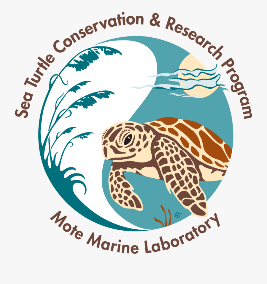 Sea Turtle Clipart Track - Logo Save The Sea Turtles, Transparent Clipart