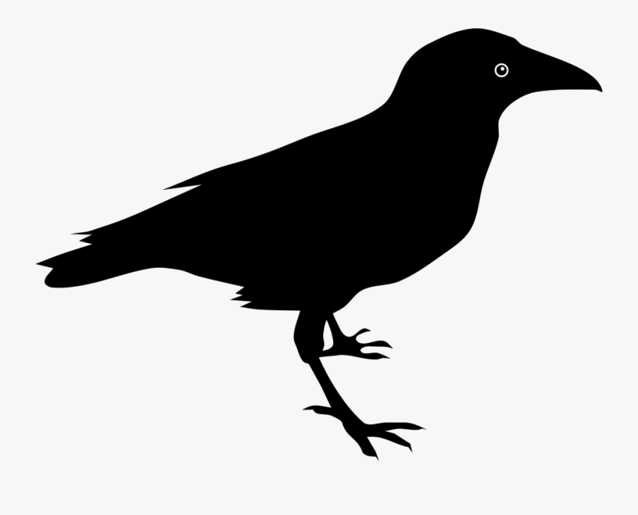Crow Animals Clipart Explore Pictures - Raven Clipart, Transparent Clipart